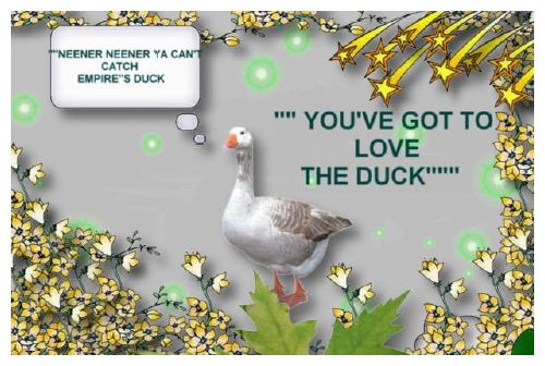 duck